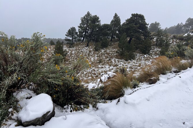 3 Hour Private Hike: Mountain Nevado Toluca from Mexico City - Private guide help that actually changes your pace
