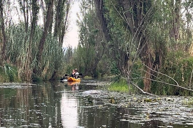 3 Hours of Kayaking at the Ancient Canals of Xochimilco - 5 key things I’d circle on your Xochimilco kayak checklist
