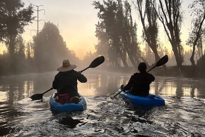 3 Hours of Kayaking at the Ancient Canals of Xochimilco - Working chinampas: pre-Hispanic farming you can see in action