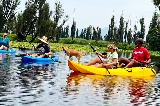 3 Hours of Kayaking at the Ancient Canals of Xochimilco - Wildlife viewing that feels personal, not performative