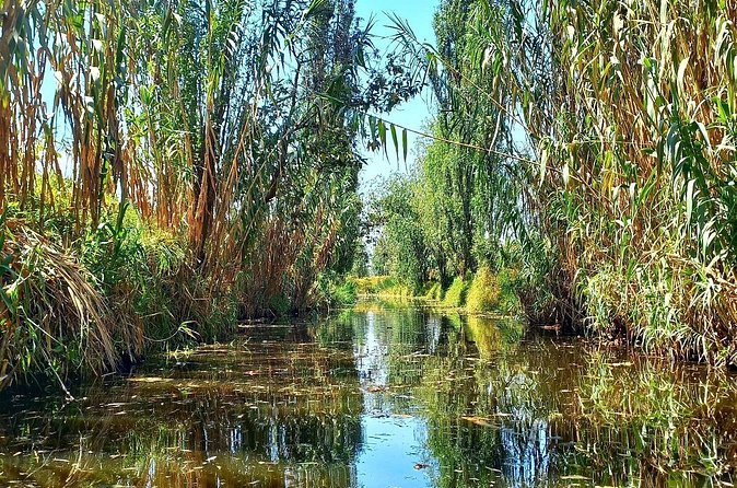 3 Hours of Kayaking at the Ancient Canals of Xochimilco - What to wear and bring for a dawn paddle (stay comfortable and dry)