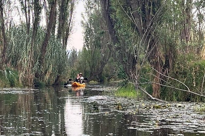 3 Hours of Kayaking at the Ancient Canals of Xochimilco - Price and value: is $71.65 for 3 hours worth it?