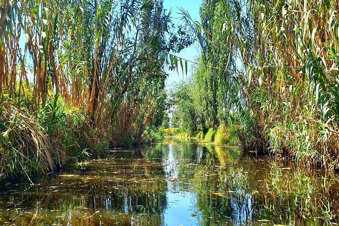 3 Hours of Kayaking at the Ancient Canals of Xochimilco - Small-group dynamics with guide Grant: why it matters