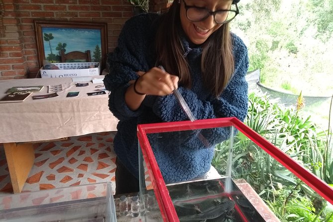 Axolotl Tour from CDMX - Breakfast included, and why the meal time is part of the plan
