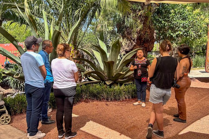 Balloon Flight with Teotihuacan & Guadalupe Shrine Full day Tour - Teotihuacan with a guide: why the walk can feel different
