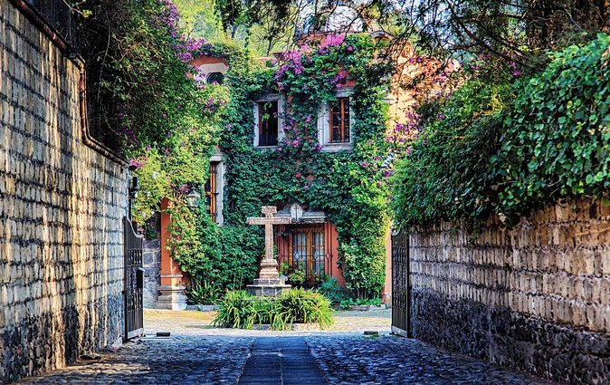 Bazaar Saturday - Convent of Carmen - San Angel - Museo del Carmen and the Convent of Carmen: Carmelites, Art, and Quiet Awe