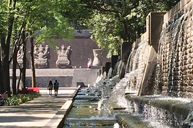 Bike Tour in Mexico City - Why Chapultepec Forest feels made for a bike