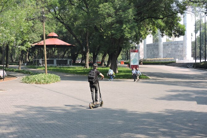 Bike tour in the Chapultepec Forest and Roma Condesa - Nezahualcóyotl fountain, Canadian totem pole, and the park’s odd comforts