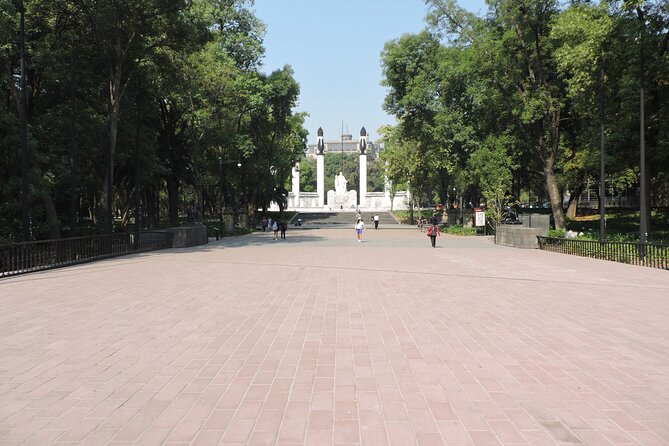 Bike tour in the Chapultepec Forest and Roma Condesa - Roma Norte on bike lanes: fountains and squares you can actually reach