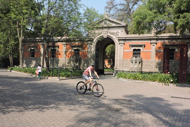Bike tour in the Chapultepec Forest and Roma Condesa - Chapultepec Forest ride: trees, lakes, and cultural stops