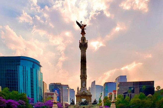 Bike Tour through Chapultepec, Reforma and the Zócalo / Mexico - Mercado de San Juan: food culture, unusual bites, and shopping time