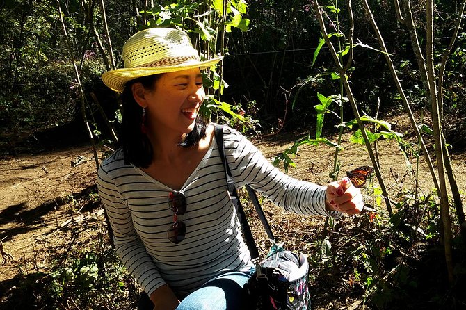 Butterfly Monarch Tour from Mexico City - Who should book this monarch tour from Mexico City