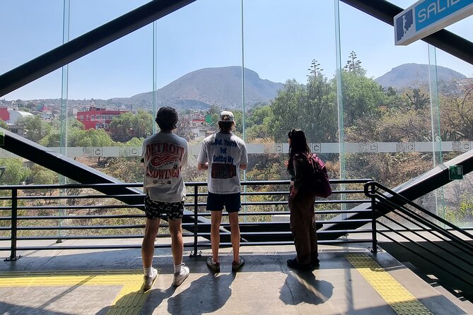 CableCar Experience: Off the Beaten Path Mexico City Walking Tour - Stop 4: Cablebús Line 2 ride, the sky view plus street art at scale