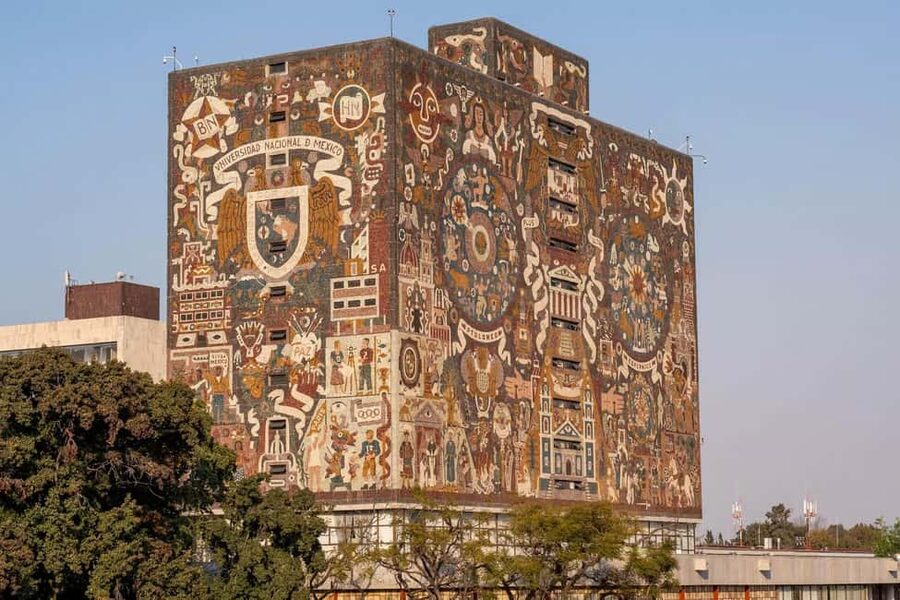 CDMX: Coyoacán, UNAM, Xochimilco, and optional Frida Kahlo Museum - Why this CDMX day tour feels efficient (and still fun)