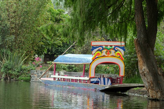 CDMX Enjoy a unique tour of Xochimilco and Coyoacán - Managing the group day: timing, language, and check-in stress