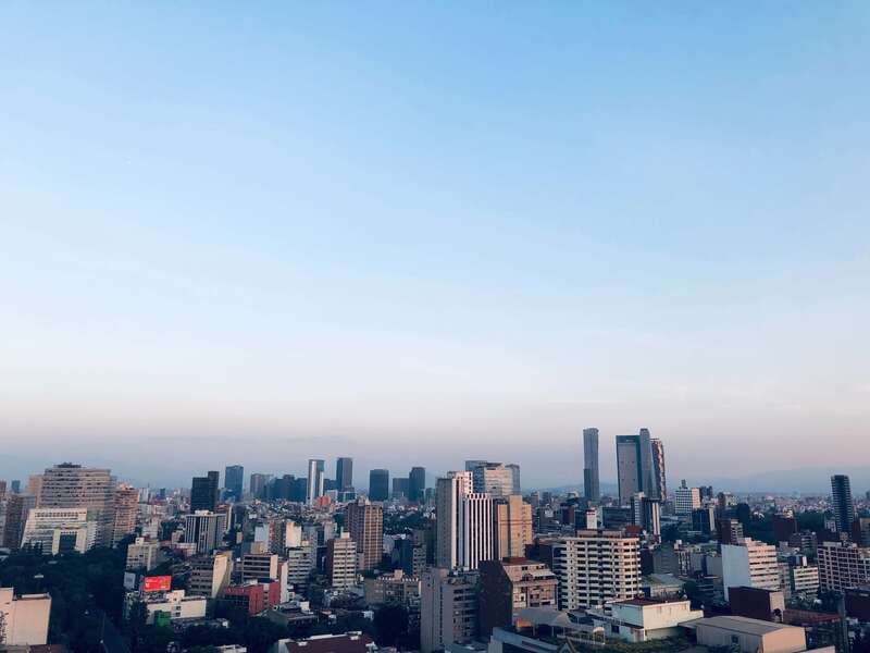CDMX: Neighborhoods Contrasts Private Tour - Price and value for a private 3-hour contrasts tour