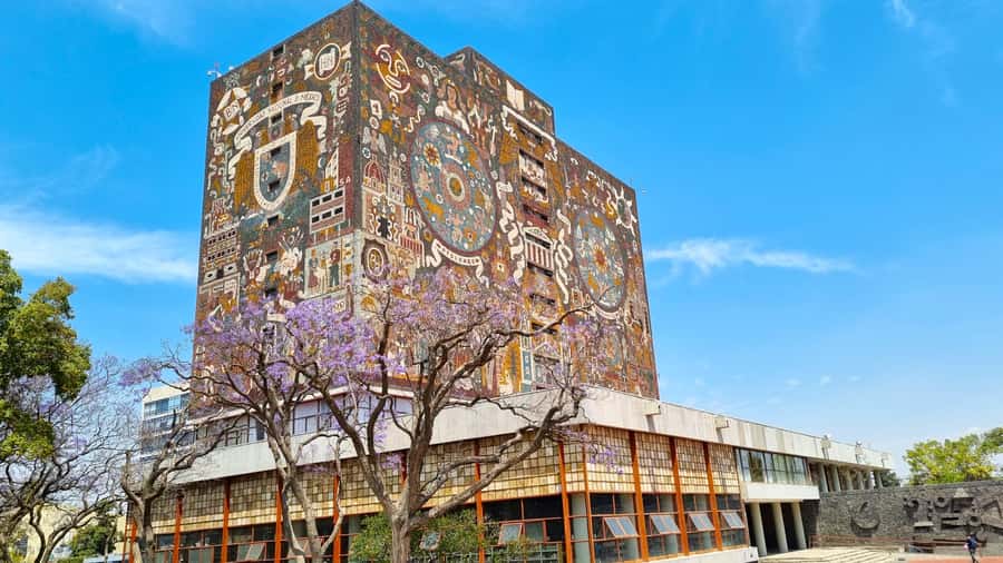 CDMX: Tour of Xochimilco and Coyoacán with option to visit the Frida Kahlo Museum - The Value Pitch: Why This Tour Works in 10 Hours
