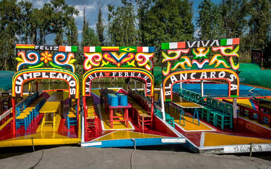 CDMX: Tour of Xochimilco and Coyoacán with option to visit the Frida Kahlo Museum - Xochimilco on a Tranjinera: Color, Noise, and One Big UNESCO Moment