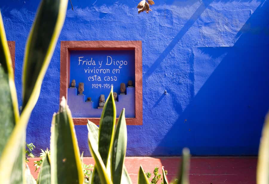 CDMX: Tour of Xochimilco and Coyoacán with option to visit the Frida Kahlo Museum - UNAM Stops and Murals: The Art You Can See Fast