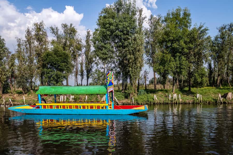 CDMX: Tour of Xochimilco and Coyoacán with option to visit the Frida Kahlo Museum - Olympic Stadium View Stop: A Quick Architectural Hit