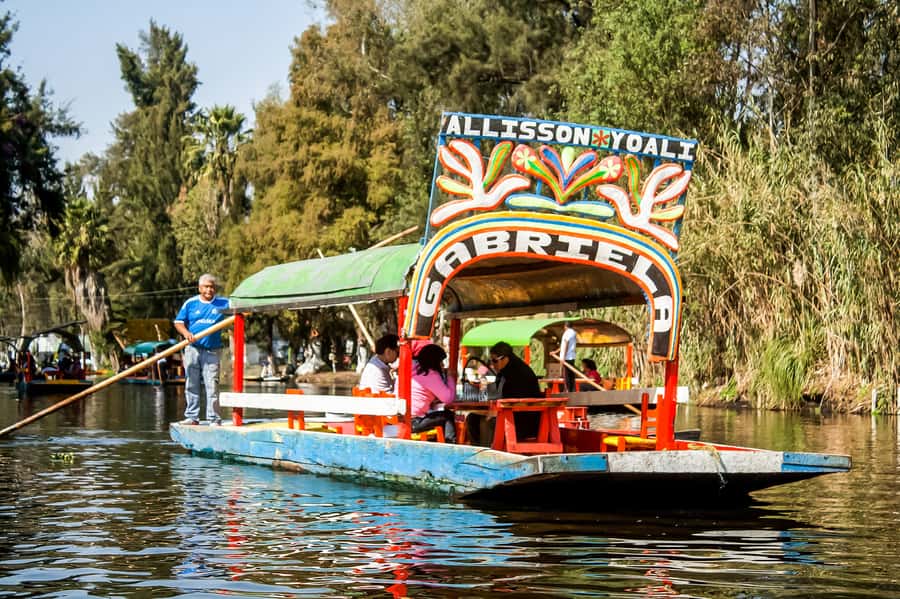 CDMX: Xochimilco, Coyoacan, Frida Kahlo Museum & Murals Tour - Guides and pacing: what makes this tour feel well run