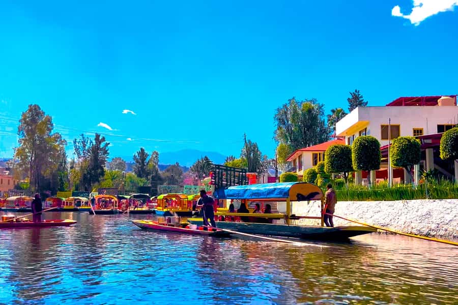 CDMX: Xochimilco Trajinera Party, Drinks, Mariachi & Tacos - Drinks on board, from beer and tequila to a smarter pacing plan