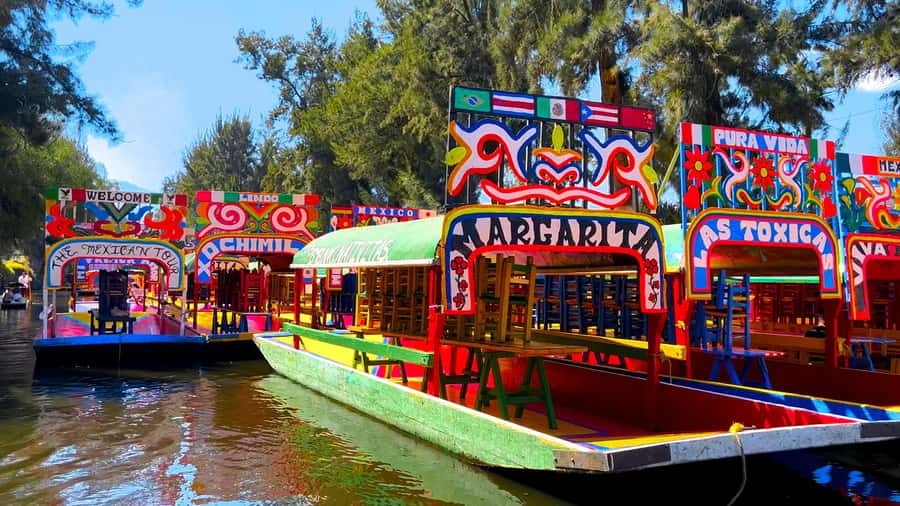 CDMX: Xochimilco Trajinera Party, Drinks, Mariachi & Tacos - Guides who make the party feel inclusive