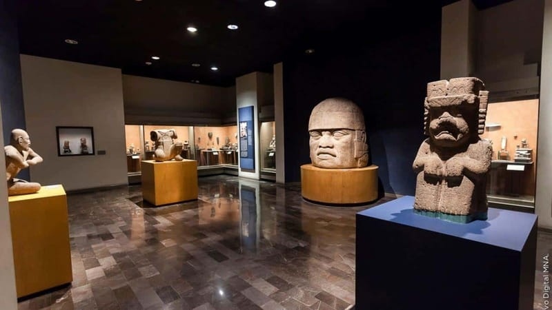 Chapultepec Museum: Plus Anthropology Museum Tour - Chapultepec Castle walkthrough, from power to portraits of change