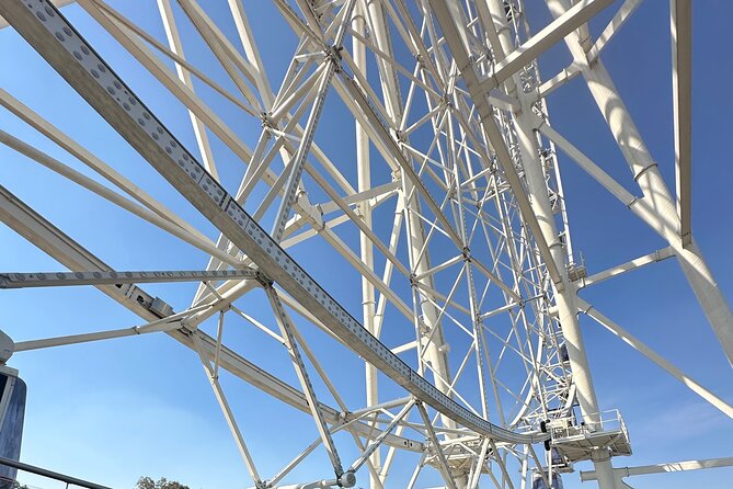 Chapultepec Park and Ferris Wheel Bike Tour - How the 2.5-Hour Timing Feels in Real Life