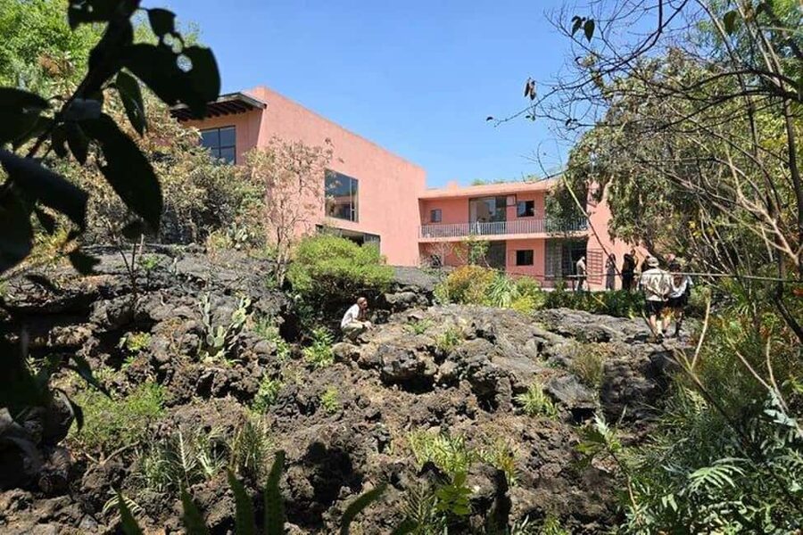 CMDX: Luis Barragan Legacy Exclusive Tour at Casa Pedregal - Key moments that make this tour worth it