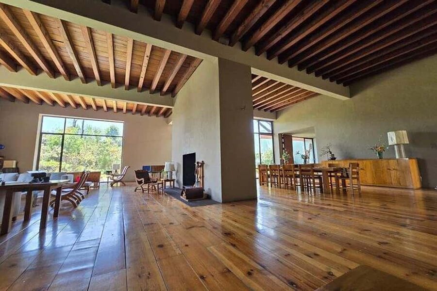 CMDX: Luis Barragan Legacy Exclusive Tour at Casa Pedregal - The 1.5-hour guided walk through gardens, light, and color
