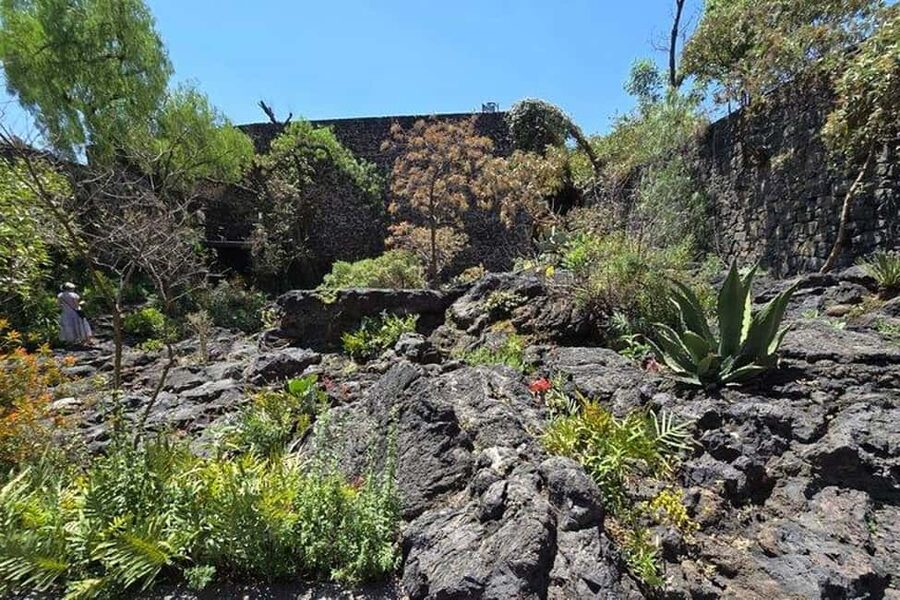 CMDX: Luis Barragan Legacy Exclusive Tour at Casa Pedregal - Language and rules: small things that keep the visit smooth