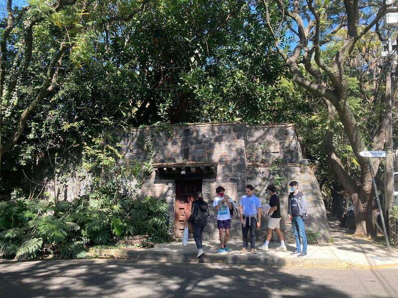 COYOACAN: FRIDA KAHLO STEPS IN COYOACAN AND SAN ANGEL CDMX - Key takeaways before you go