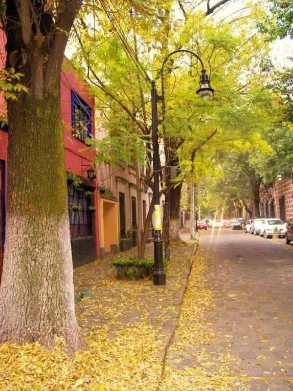 COYOACAN: FRIDA KAHLO STEPS IN COYOACAN AND SAN ANGEL CDMX - Diego Rivera and Frida Kahlo Casa Estudio, the inside part you should not miss