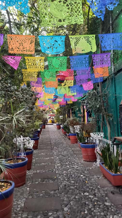 Coyoacan, history and life in a magical neighborhood - Quick hits on Coyoacan, squares, churros, and street life