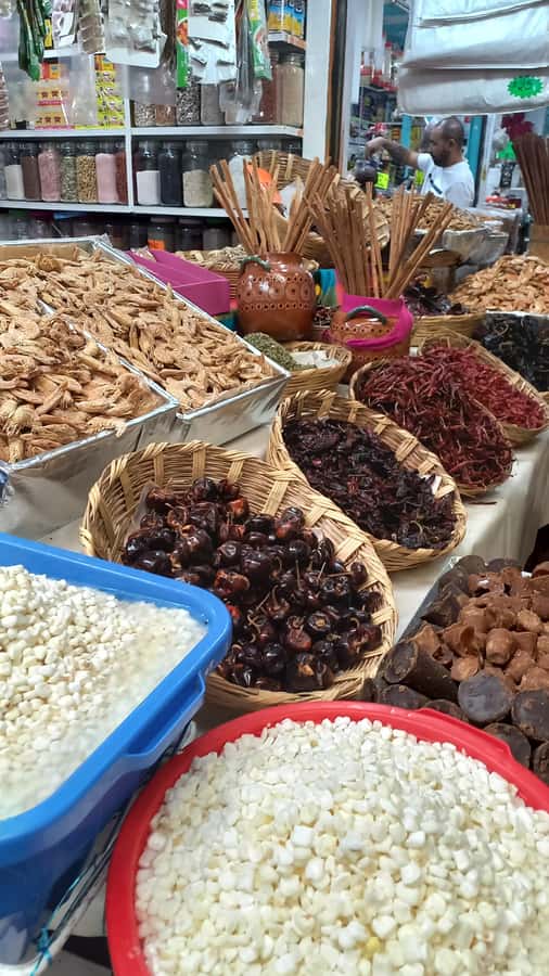 Coyoacan, history and life in a magical neighborhood - Why Coyoacan feels magical when you slow down