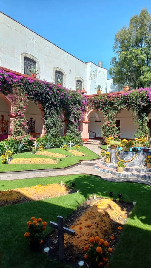 Coyoacan, history and life in a magical neighborhood - Santa Catarina Park and the lanes south of the center