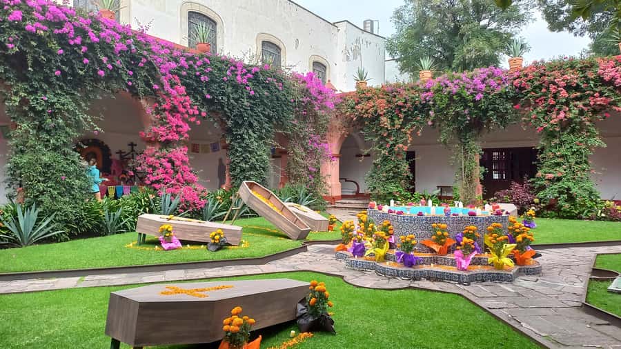 Coyoacan, history and life in a magical neighborhood - Churros at the main square, then markets for real daily life