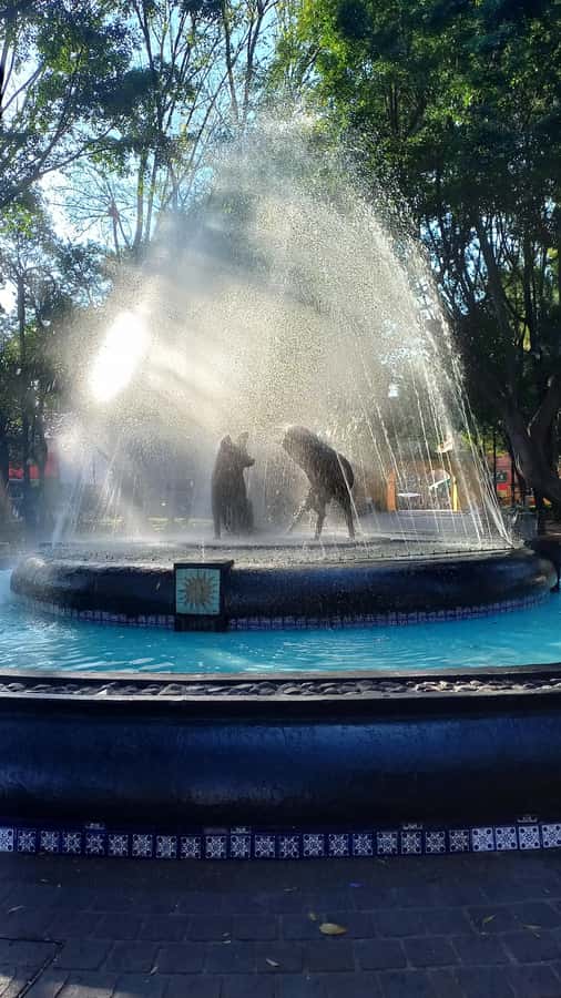 Coyoacan, history and life in a magical neighborhood - Mercado de Coyoacán as a fitting finish point