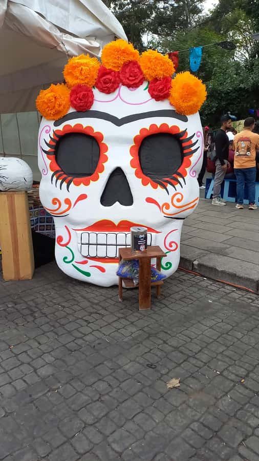 Coyoacan, history and life in a magical neighborhood - Price and time value, and how to plan your day