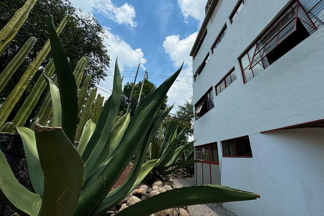 Diego Rivera Frida Kahlo Studio House Tour - Stop Focus: Frida’s House, the Intimate Side, and What You Might Miss