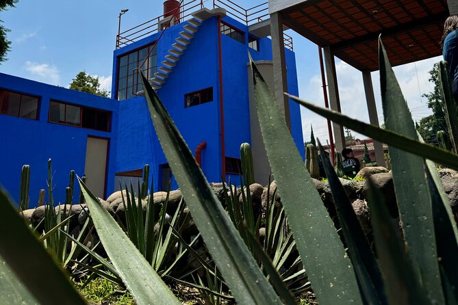 Diego Rivera Frida Kahlo Studio House Tour - Entering the Museo Estudio Diego Rivera y Frida Kahlo: What to Expect Inside