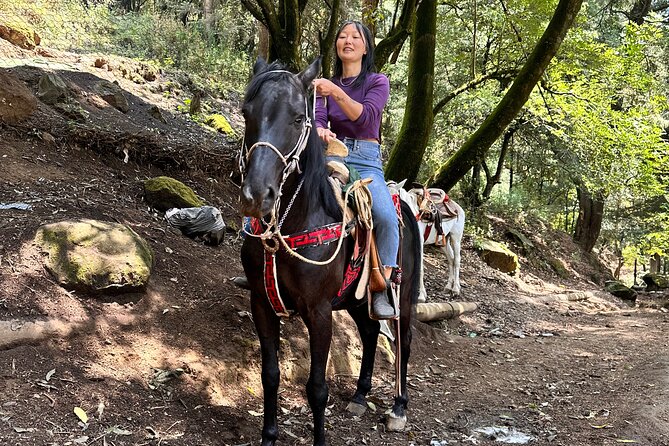 Exclusive Horseback Ride w/ Mexican Charros Family in México City - Meeting Luis, Aurelio, and Camilo, Plus the Rescue-Horse Mission