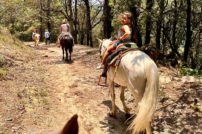 Exclusive Horseback Ride w/ Mexican Charros Family in México City - Before You Saddle: Training, Fit, and Safety on Steep Trails