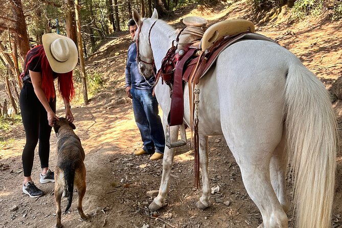 Exclusive Horseback Ride w/ Mexican Charros Family in México City - Crossing Water: How to Prepare for Streams and River Edges