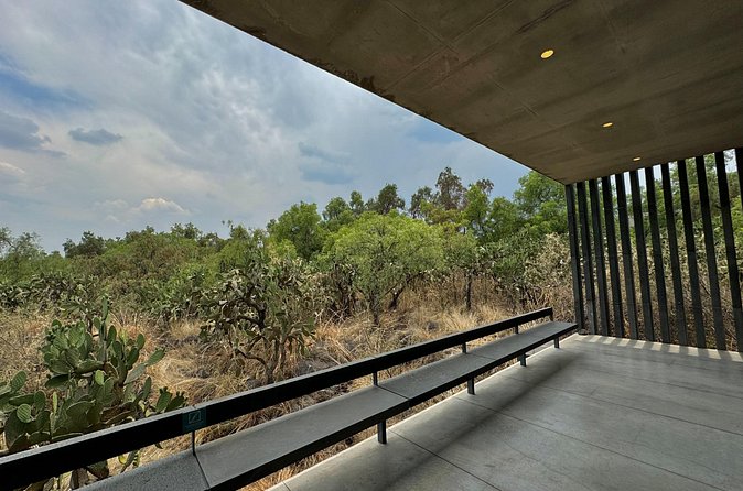 EXCLUSIVE TOUR at Diego Rivera Anahuacalli Museum - Small Groups - Value: why the $41.82 price often makes sense