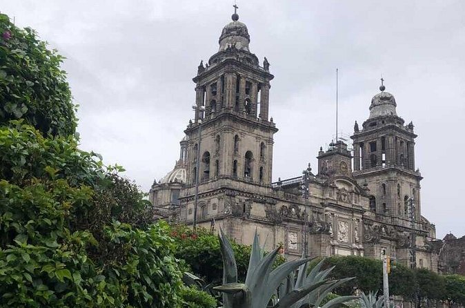 EXCLUSIVE TOUR Metropolitan Cathedral - Small Groups - What kind of traveler this tour suits best