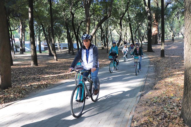 Explore Chapultepec & Mexico City sights by Bike - Street food snacks: the included pause that feels like local life