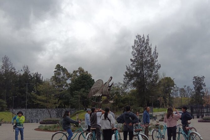 Explore Chapultepec & Mexico City sights by Bike - Bicycle setup, helmets, and safety: the practical side that makes or breaks it