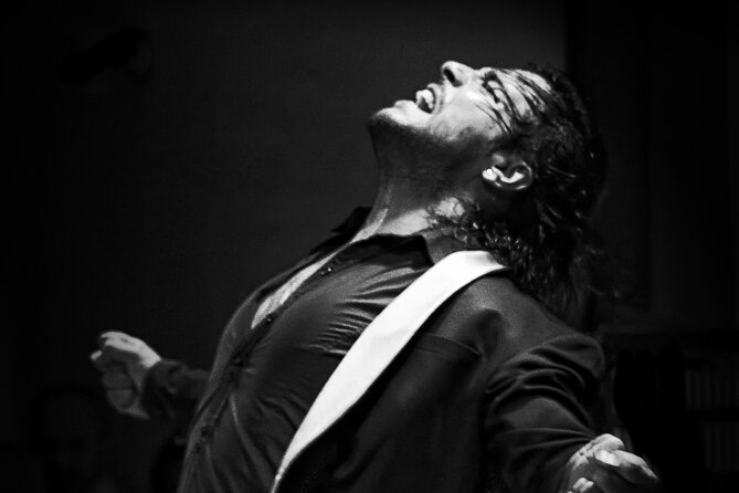 Flamenco Live Show and Dinner in Mexico City - Key things to know before you go